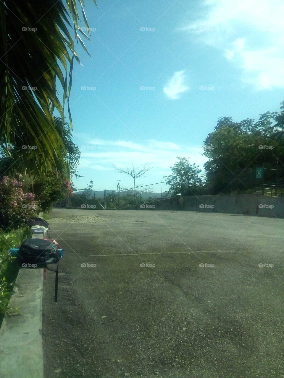 this picture was taken a very cloudy day but when you  love to take pictures like I do .