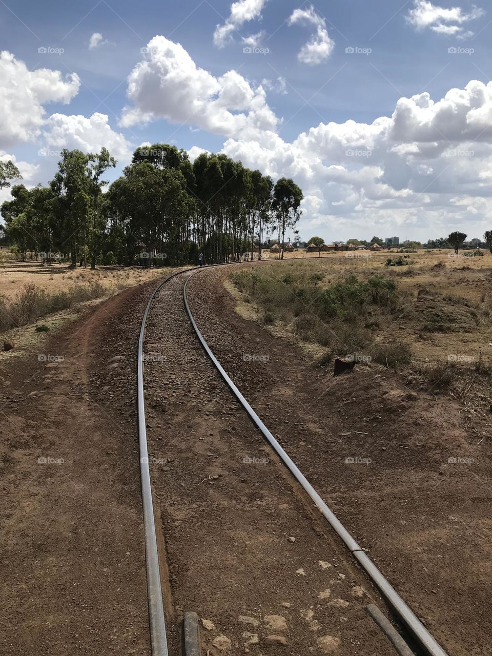 sky Cloud soil Transportation environment Nature landscape Road Plant track Field Tree no people Railroad Track