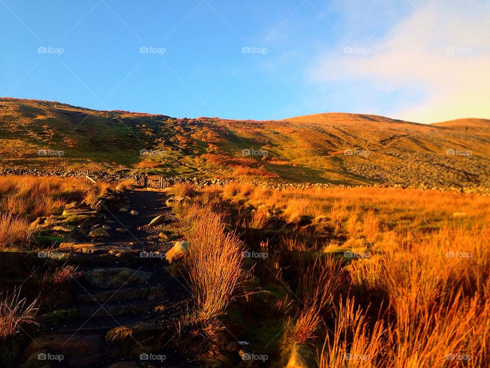 Whernside