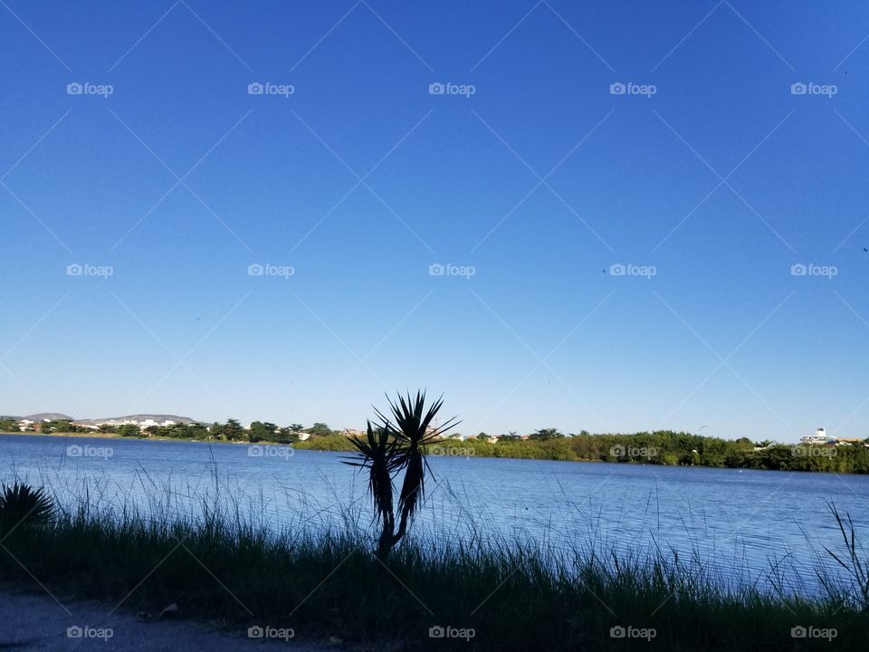 Lagoa de Piratininga .