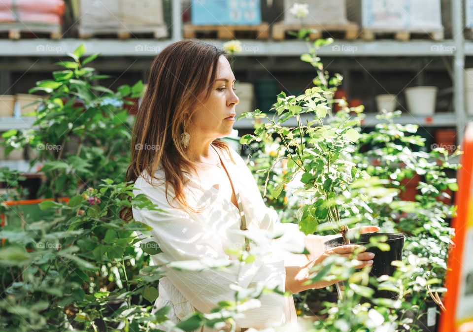 Brunette middle aged woman in white dress buys green potted house plants at the garden store