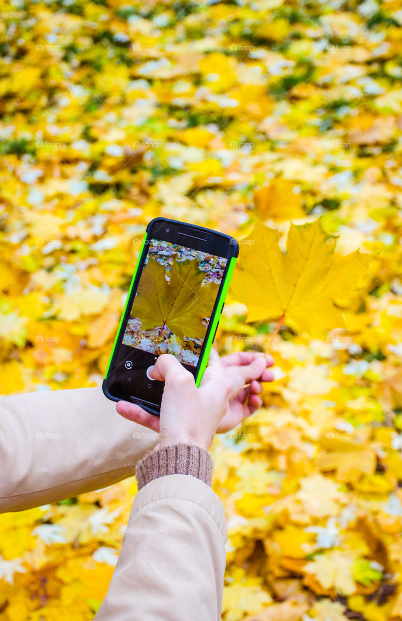 Colour Stories: Yellow