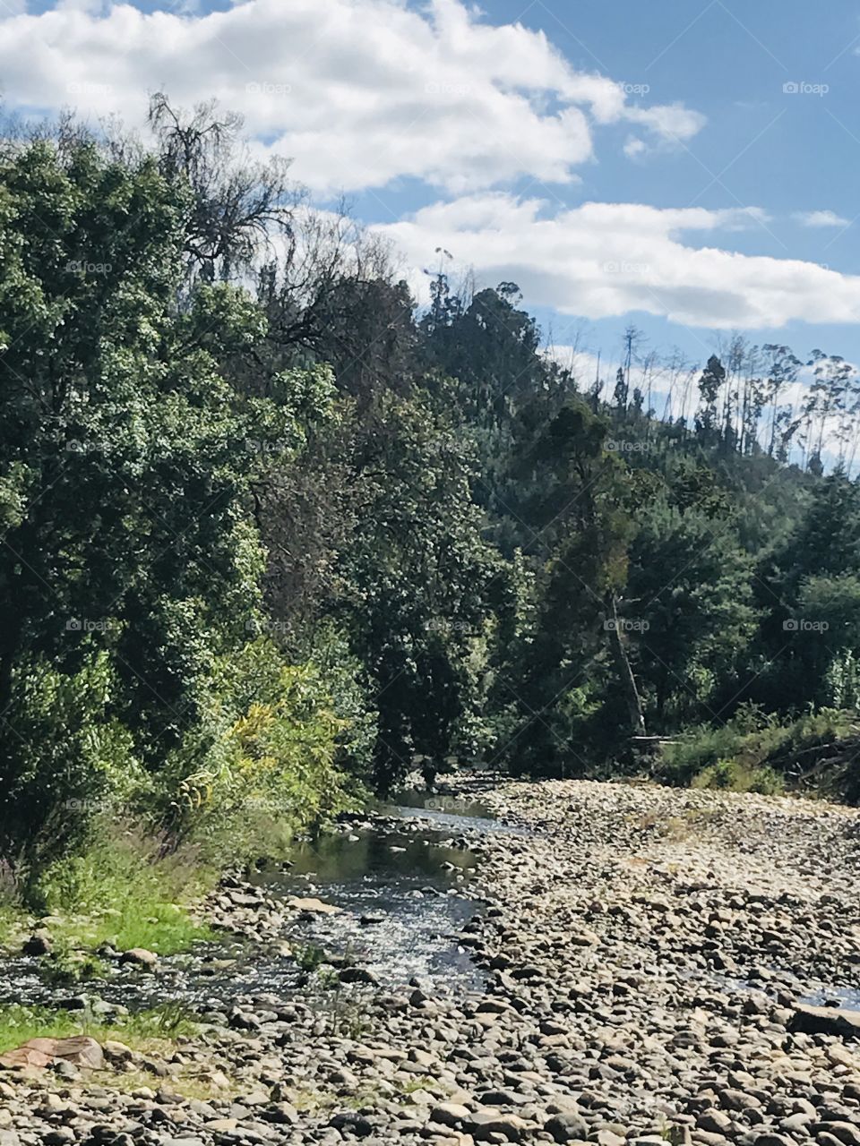 Lousã casal de ermio 