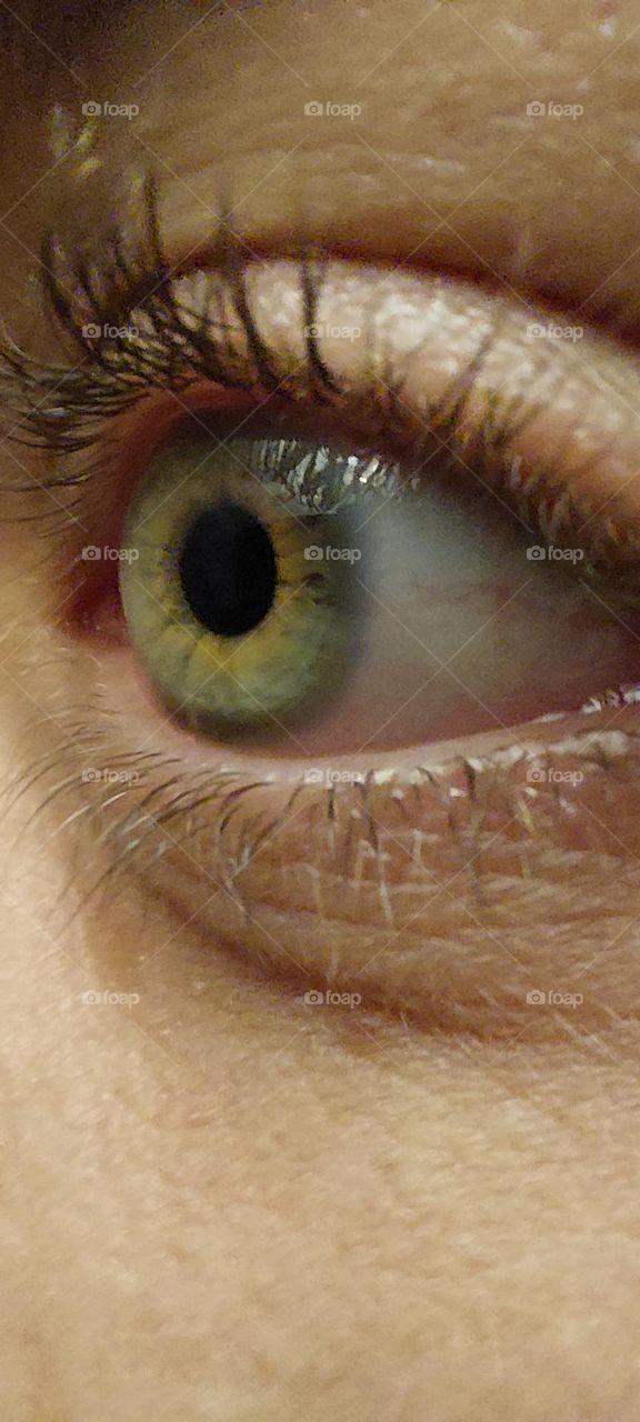 Green eye up close