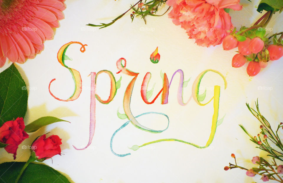 Spring, sign, flat lay, on white background, floral border, bloom, flowers, watercolor, lettering, bud