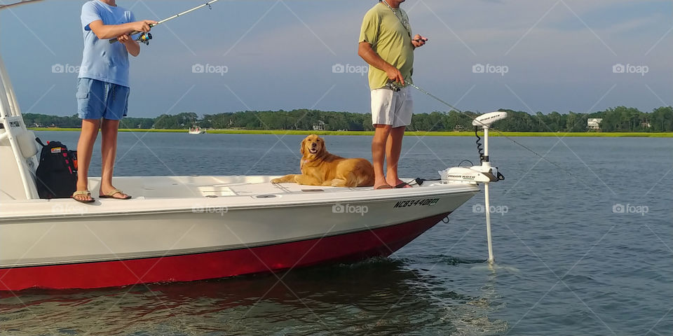 A dog relaxes on a boat in the waterway while father and son fish. Golden Retriever