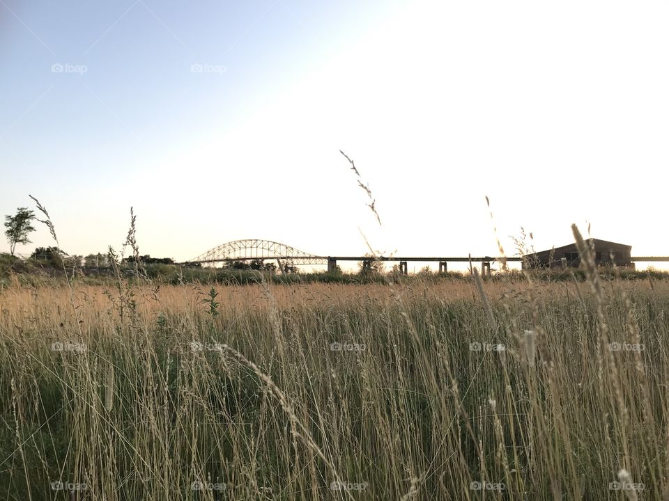 Bridge view through a field of tall grass
