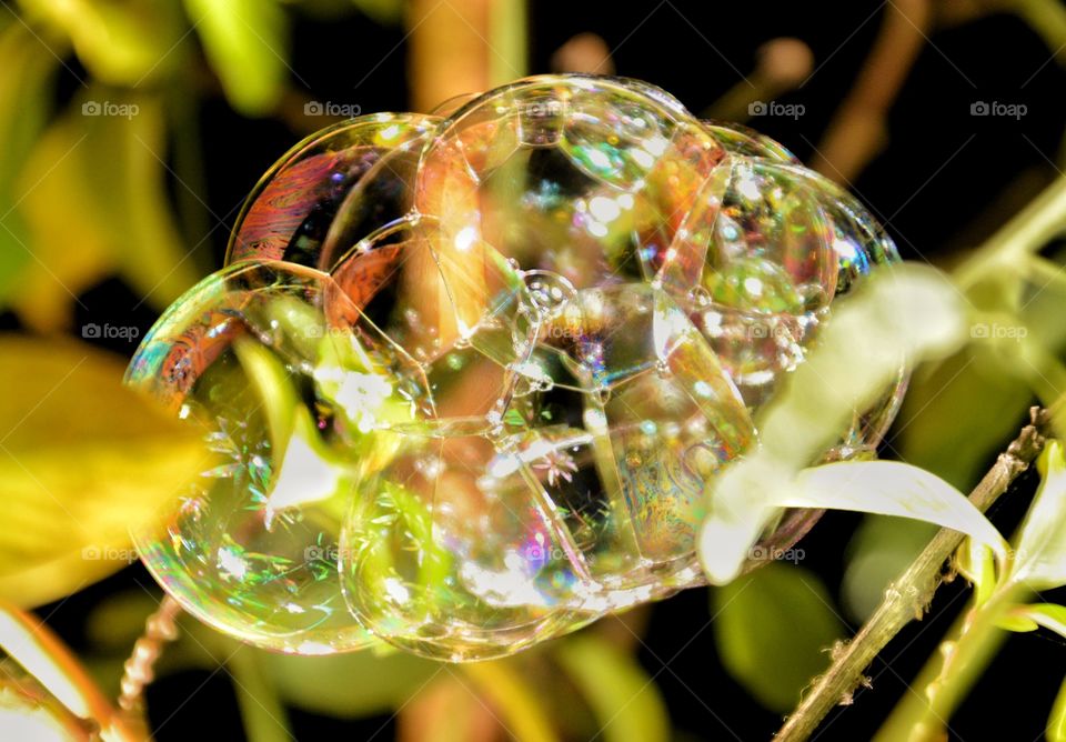 Bubbles