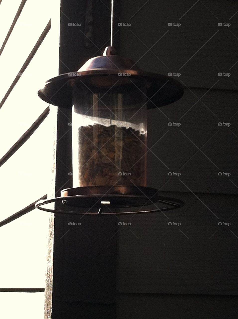 shadow sun bird feeder austin by Peppermint
