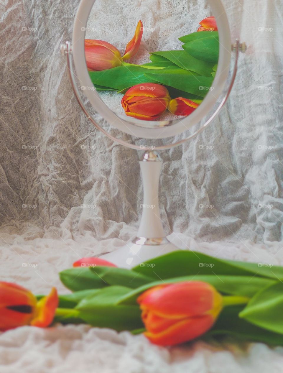 Three red tulips and their mirror reflection