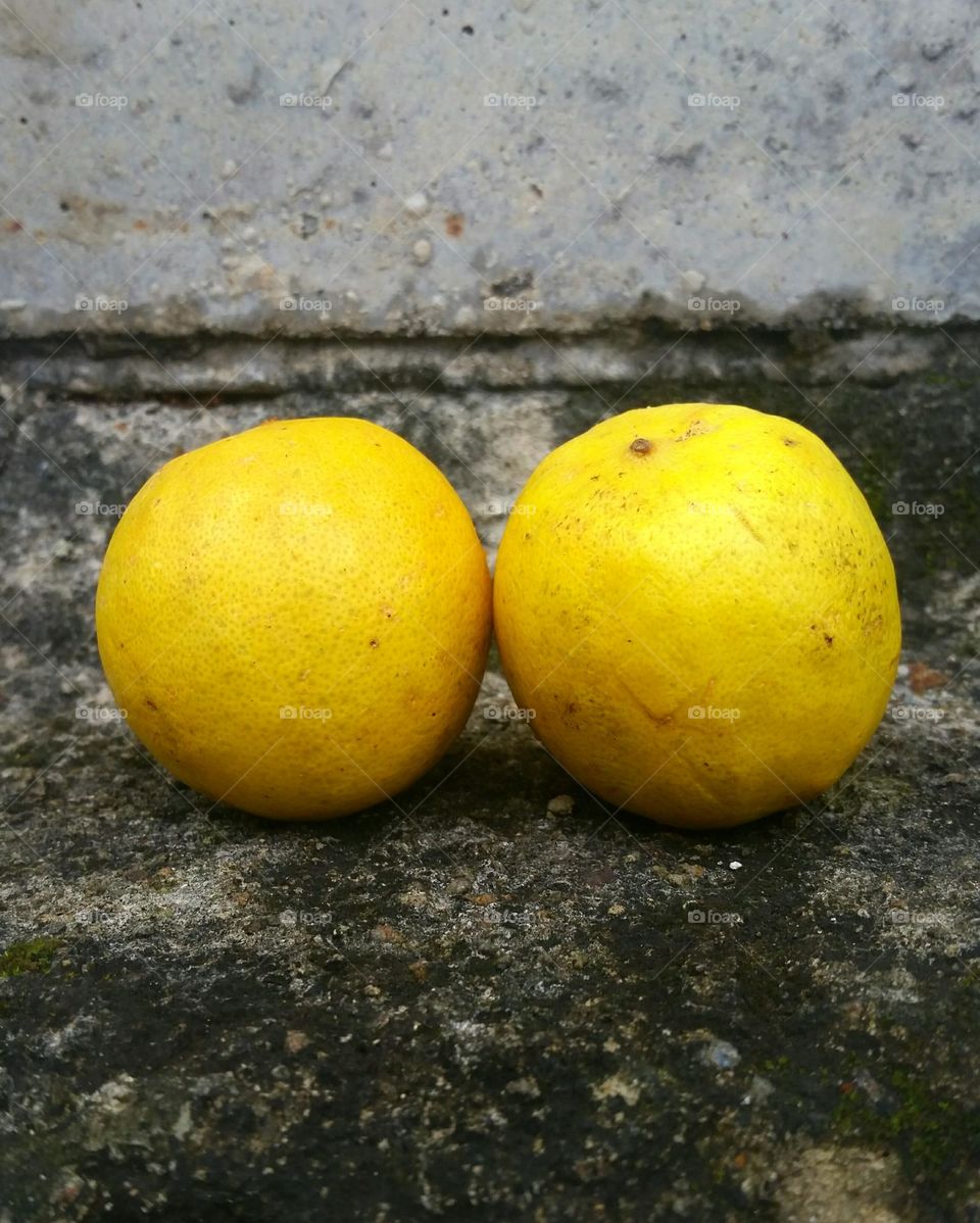 Two lemons 🍋🍋 with concrete fence as background...