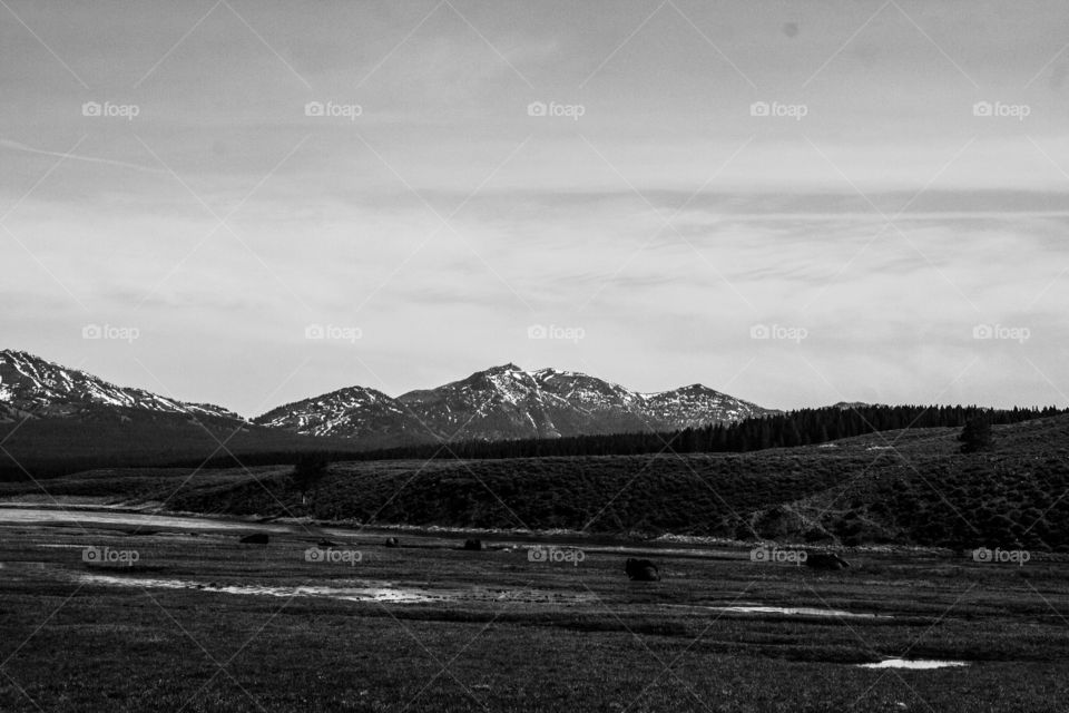 Mountains of Yellowstone