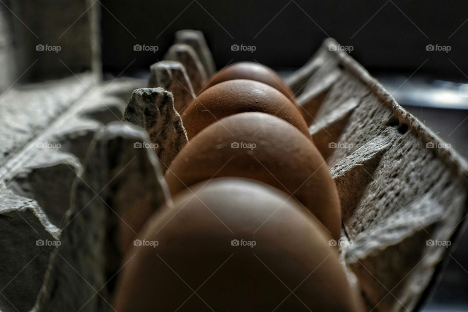 Eggs up close