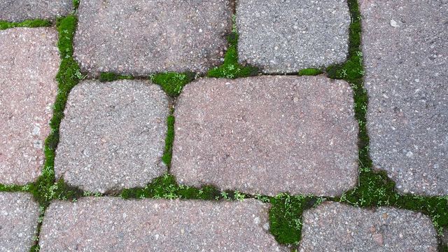 pavers