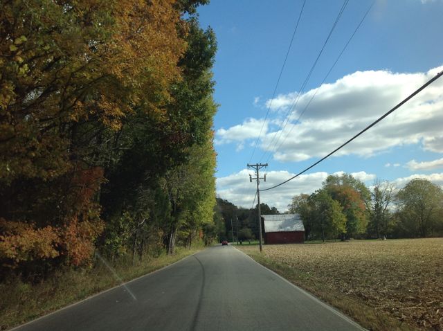 Autumn Drive