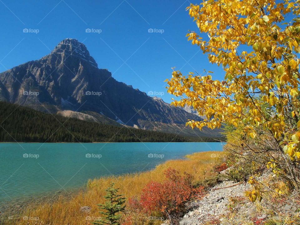 Turquoise lakes with autumn trees and mountain