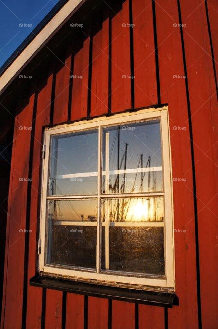 Reflections of the harbour