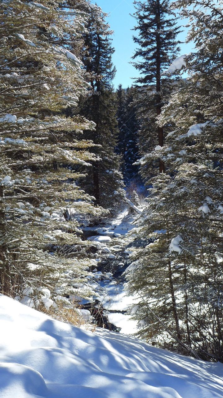 Winter snowfall mountain scene