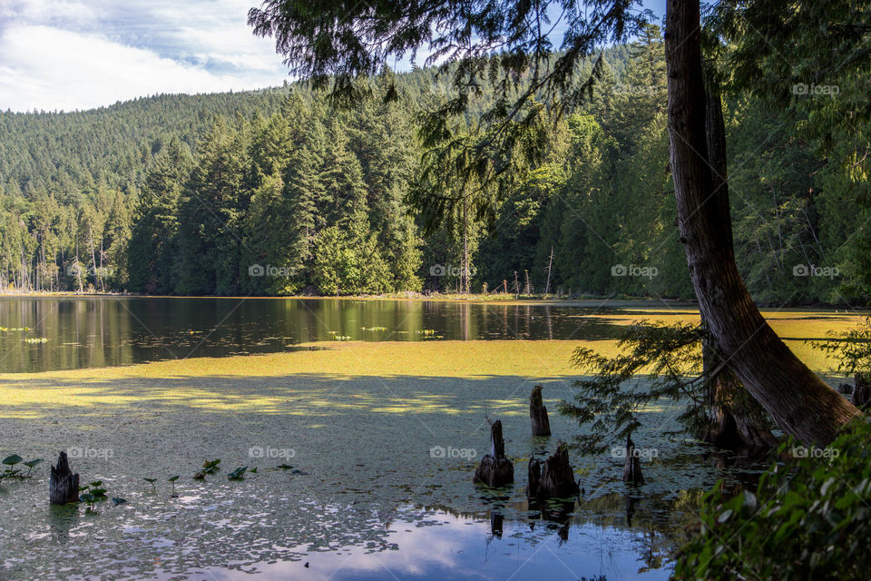 Killarney Lake