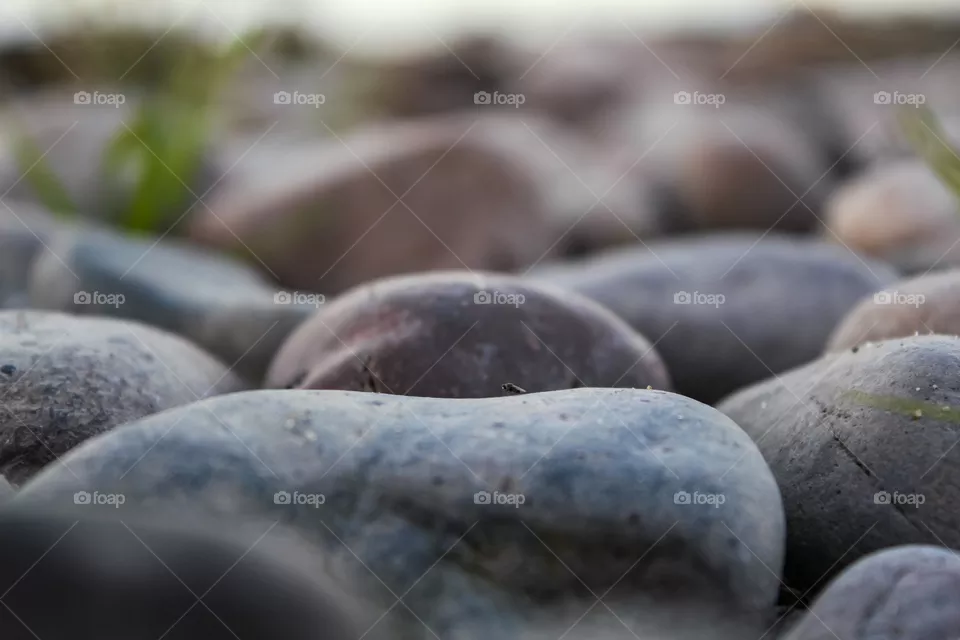 Rocky shore.
