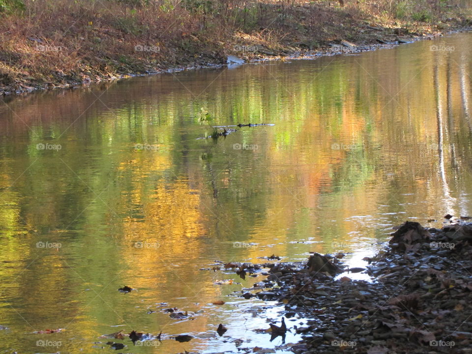 Autumn creek reflections