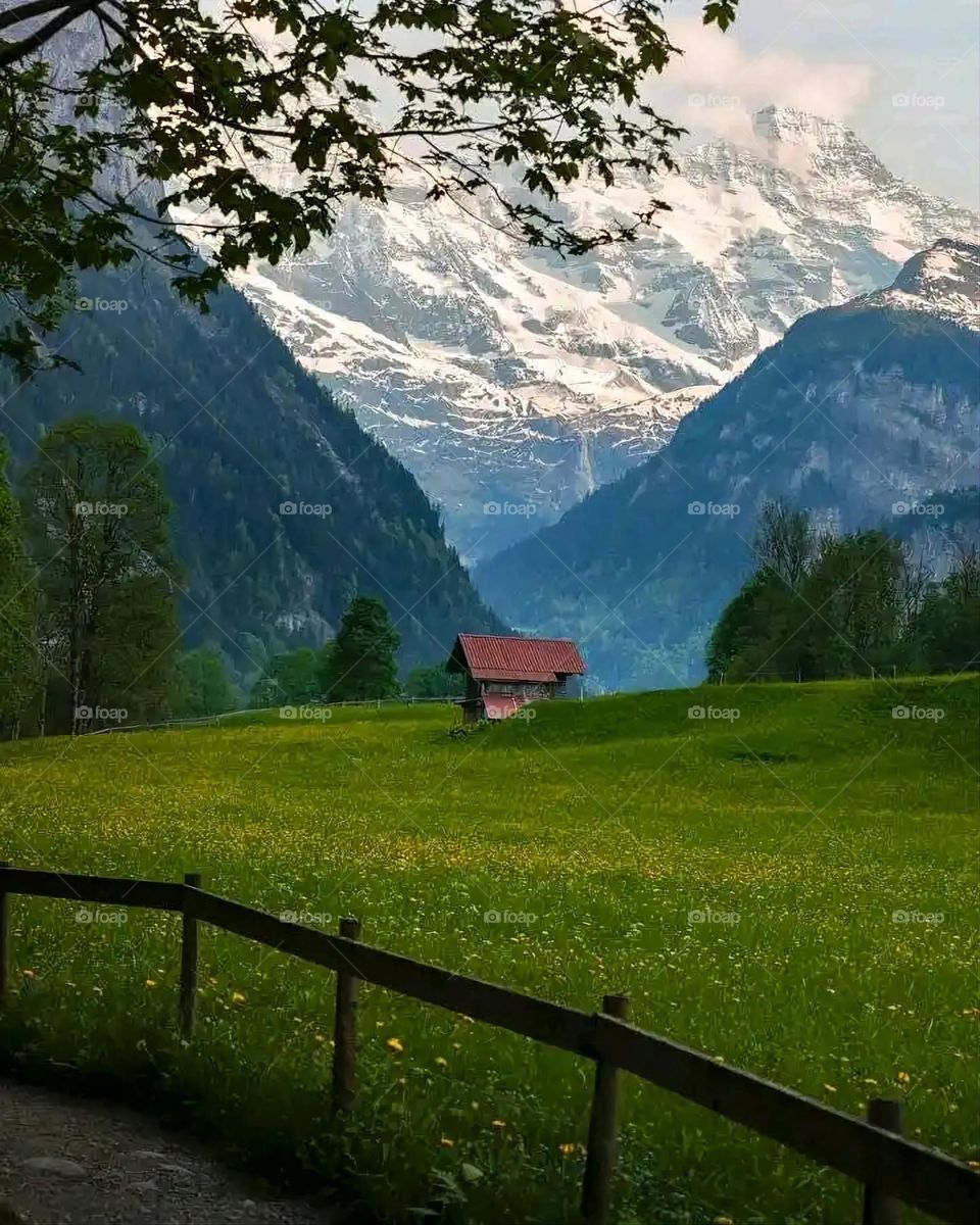 Glory be to God, the magnificent and picturesque view and the natural green trees are a view that is nothing more wonderful than it