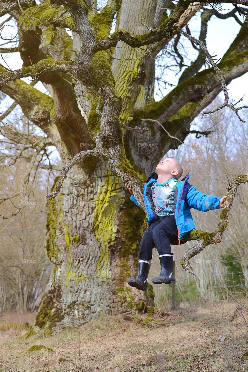 Boy sitting in a tree and enjoying the nature