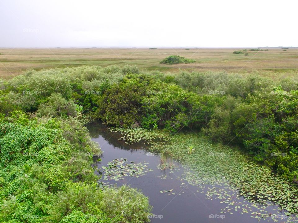 Lake and green field 