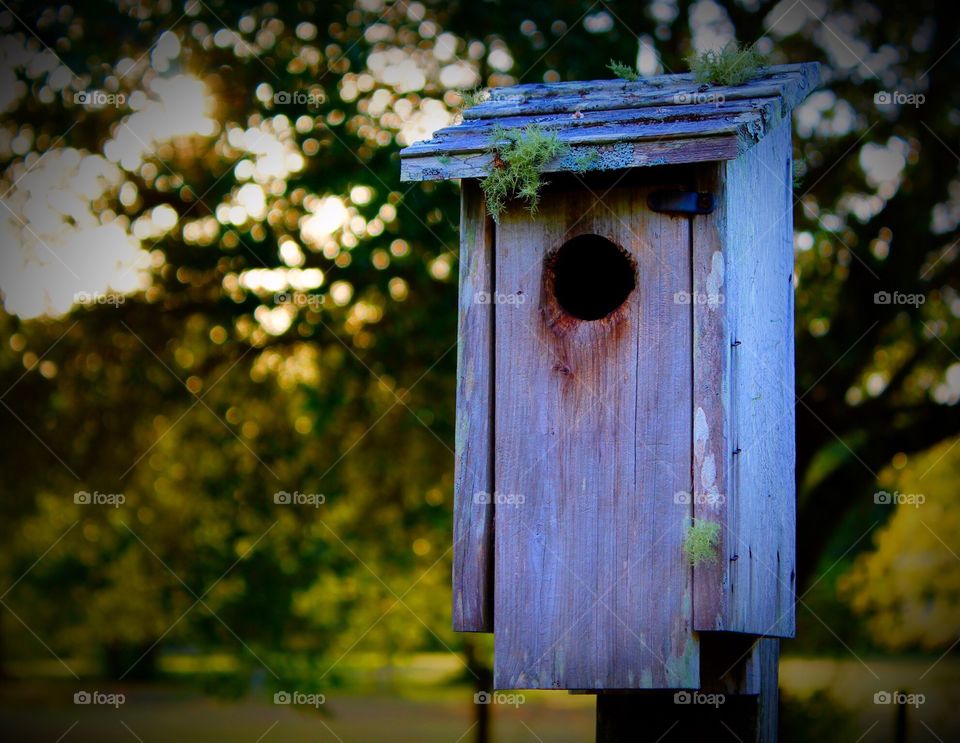 Birdhouse