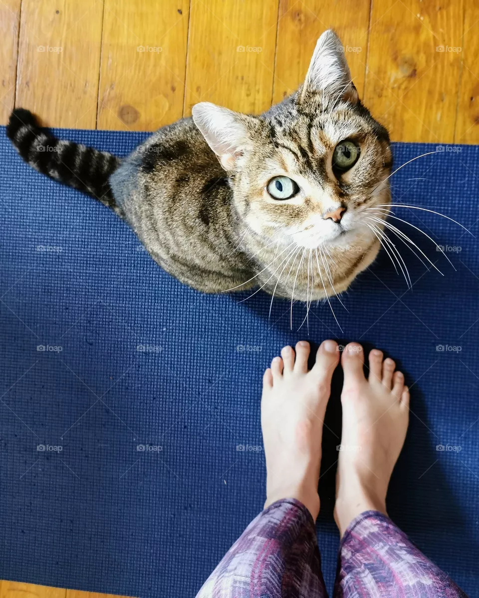Yoga buddies