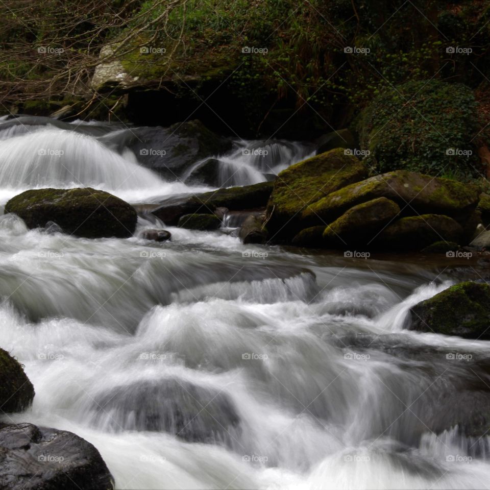 River Bovey