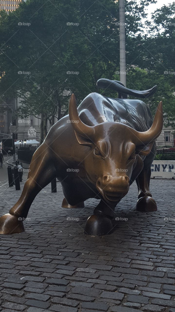 Wall St. Bull