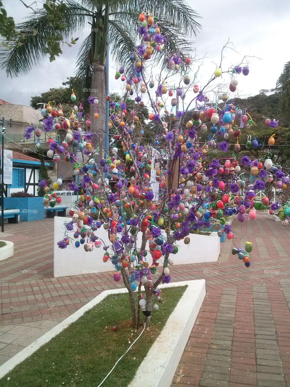 painted eggs tree