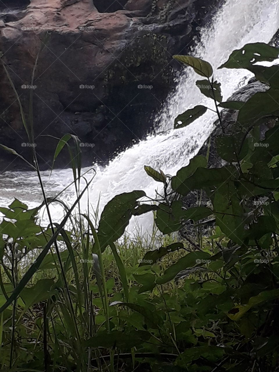 nature never disappoints