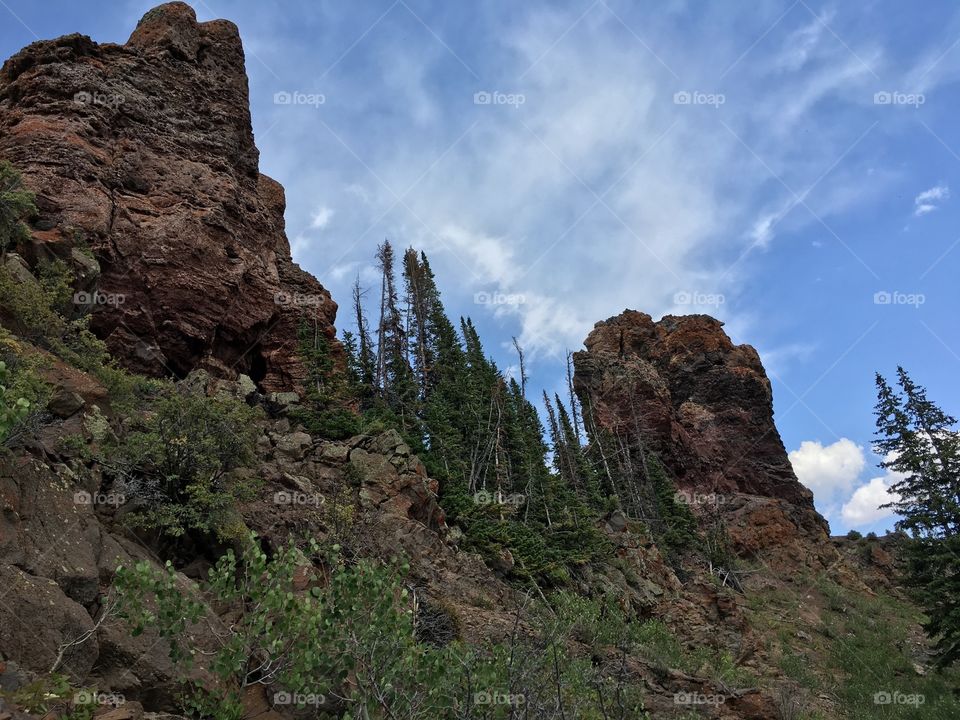 Rabbit ears. Routt national forest. 