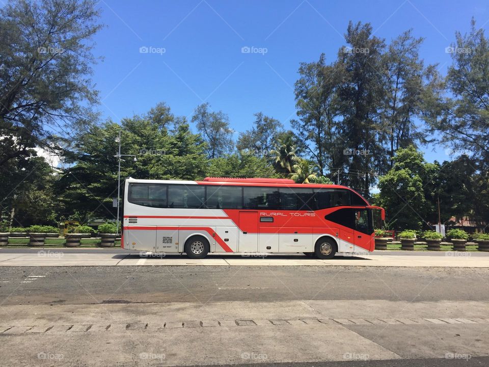 Bus on the road