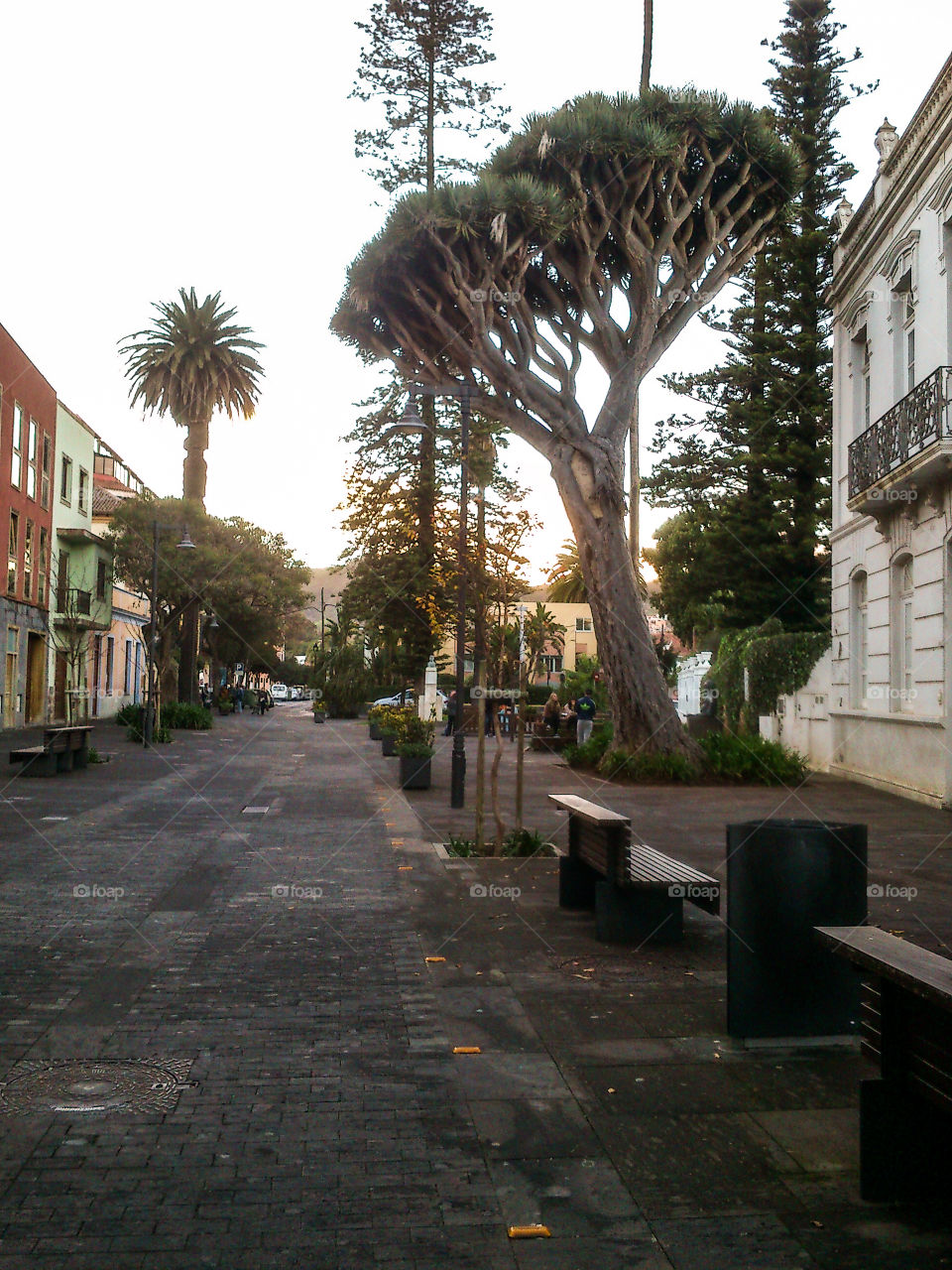 La Laguna in Tenerife