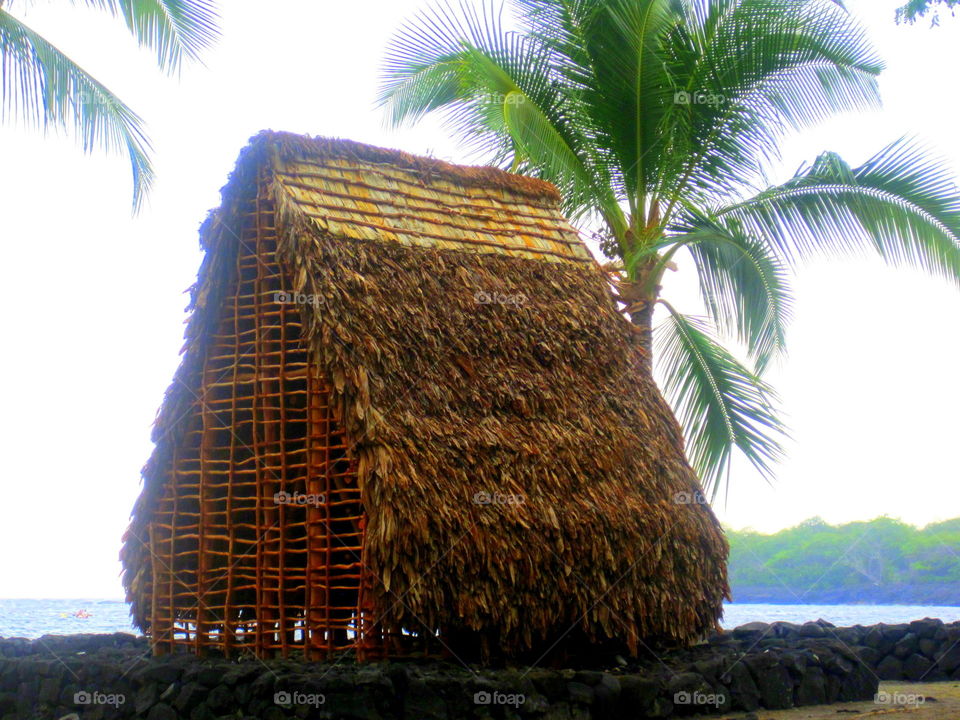 Thatched hut on beach