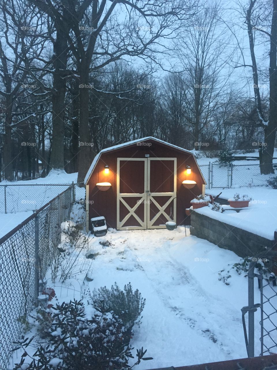 Shed in the snow