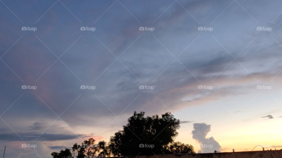 magic sunset silhouett