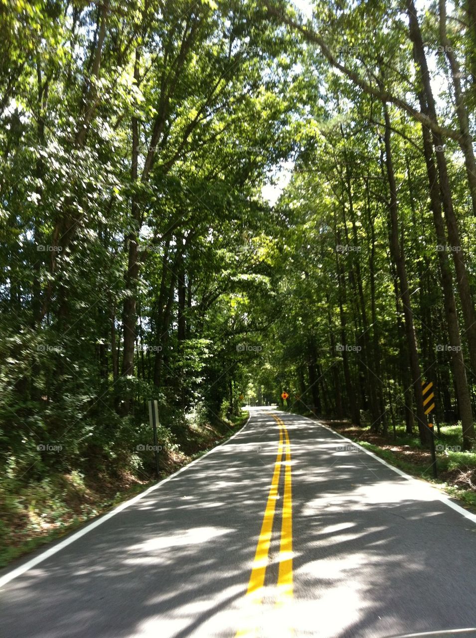 Georgia road