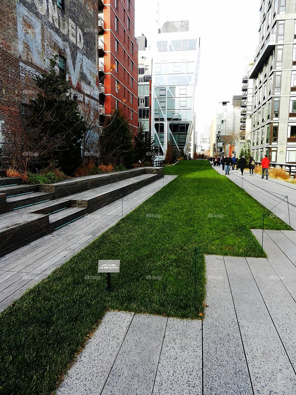 High line lawn