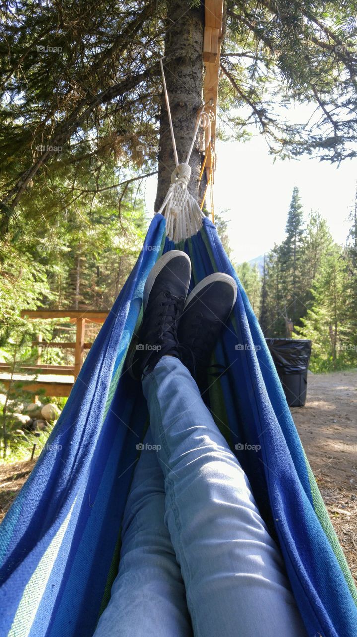 hammock