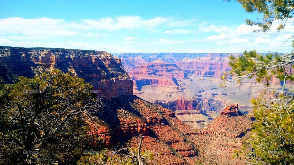 Grand Canyon in Spring