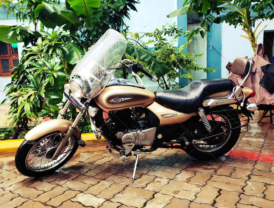 Dashing Bike
Avenger Cruise 220
🌿🌴🍀☁️🌦️🌨️
🏍️🏍️