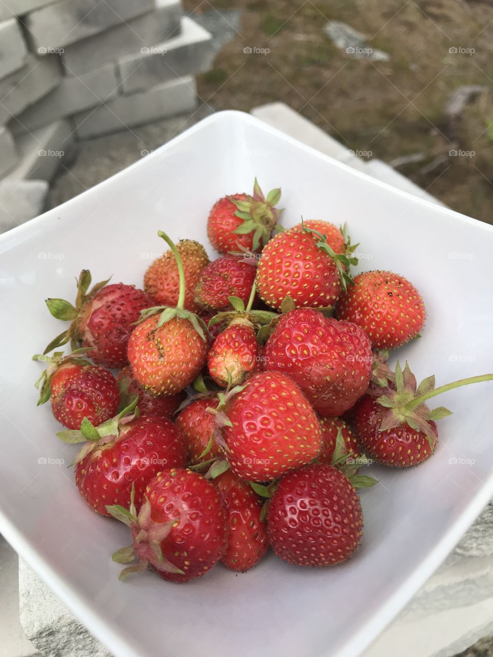 Strawberries 