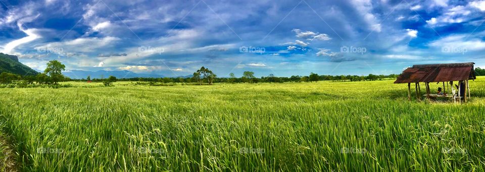 Beauty of the village🌾