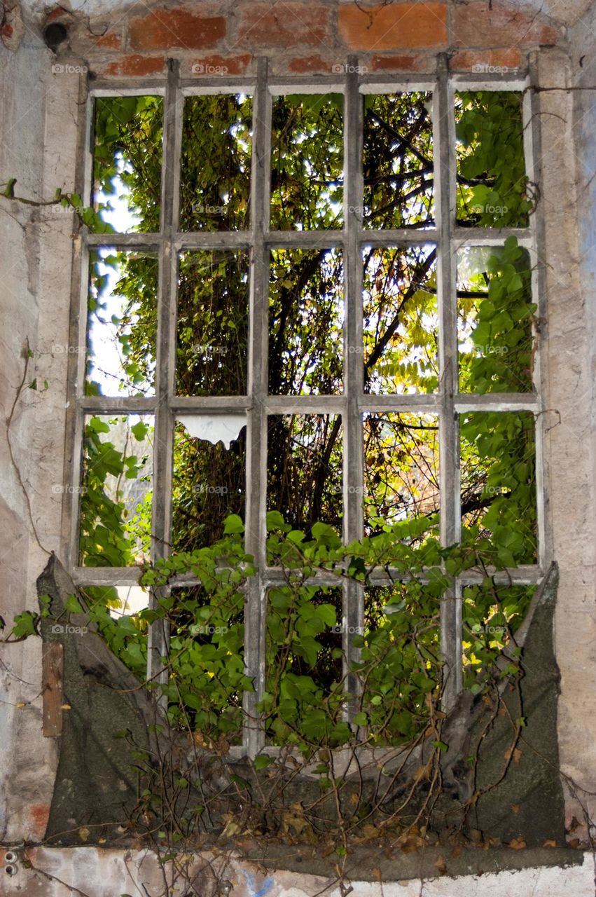 Natural window