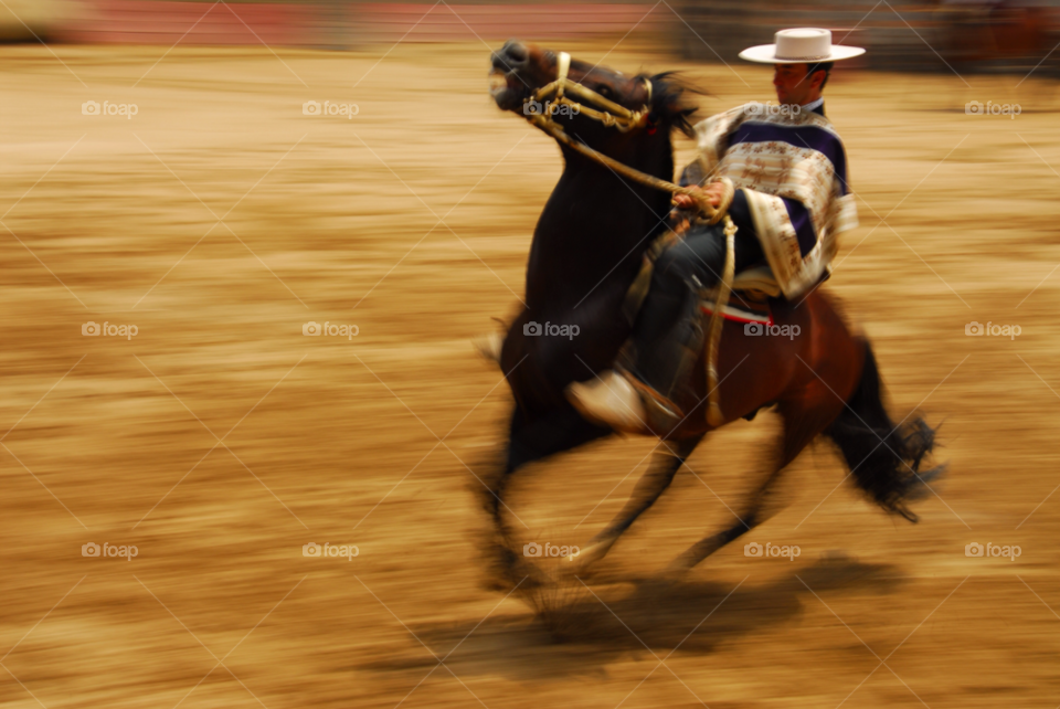 chile rodeo rodeo chileno horsemanship by entraphy