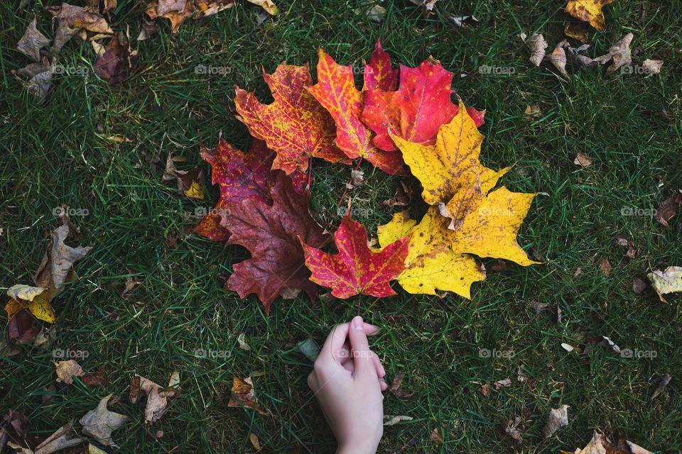 Maple leaves of various colors, yellow orange red and maroon brown, lying in round circle on lawn ground. A woman’s hand holding a red leaf in the middle. Top view. Flat lay. Vintage effect background